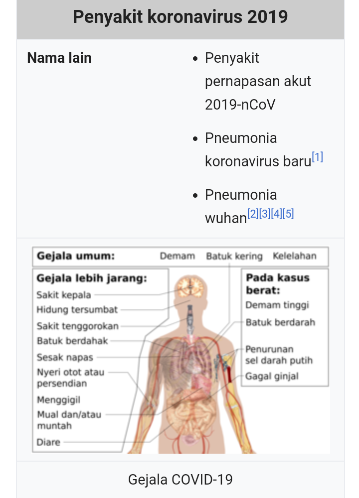Mengenal Lebih Dekat Mengenai Pandemi Dunia (Covid19)
