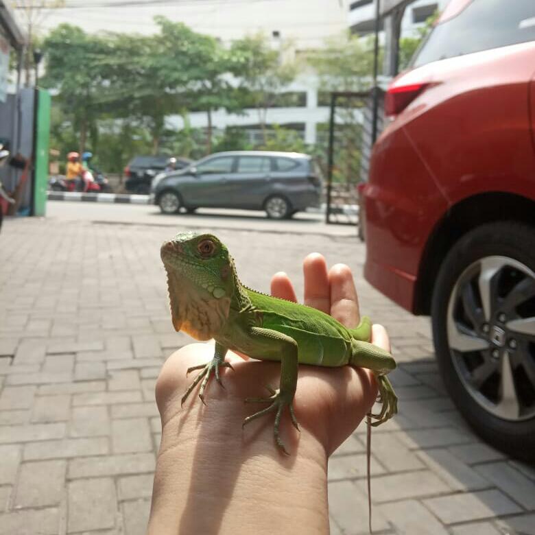 #MumpungDiRumah Lakukan Kegiatan Ini Biar Gak Bosen