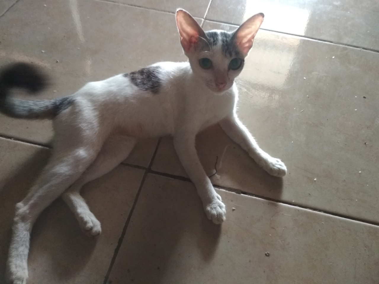 Mumpung di Rumah, Lakukan Ragam Kegiatan Bermanfaat nan Produktif ini Yuk!