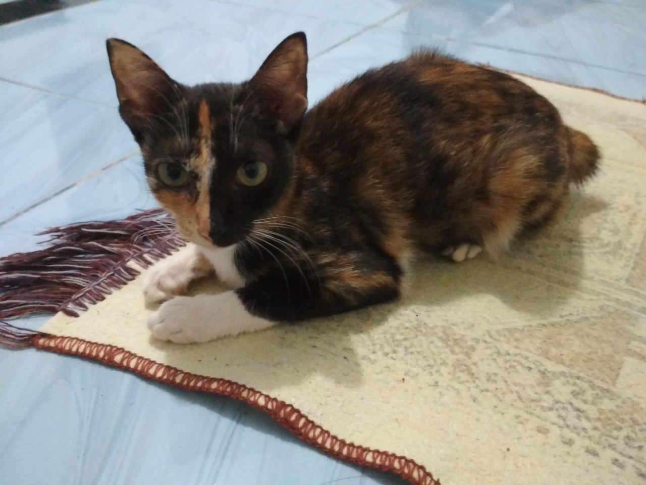 Mumpung di Rumah, Lakukan Ragam Kegiatan Bermanfaat nan Produktif ini Yuk!