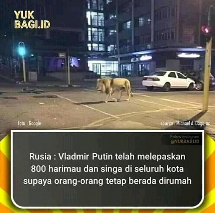 Presiden Rusia Lepas 800 Singa Agar Warga Tetap Dirumah? Ternyata Ini Faktanya