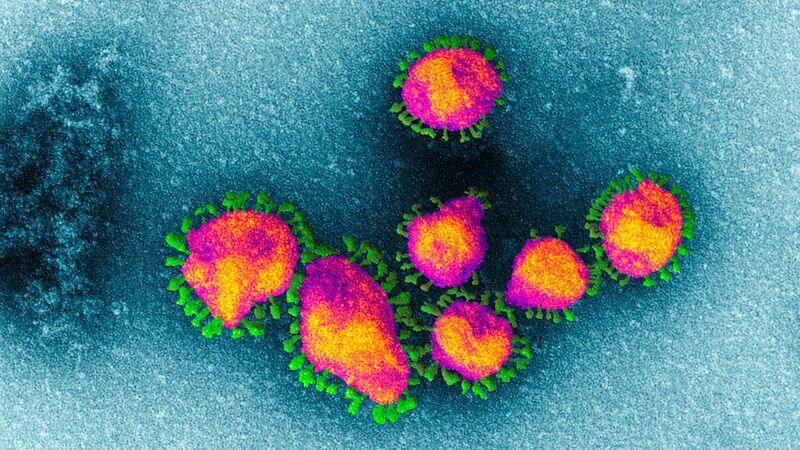 Sejarah Singkat Virus Corona