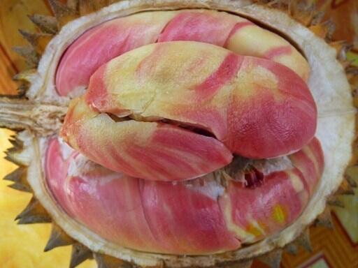 Jenis-jenis Durian yang Hits di Indonesia, Yummy!