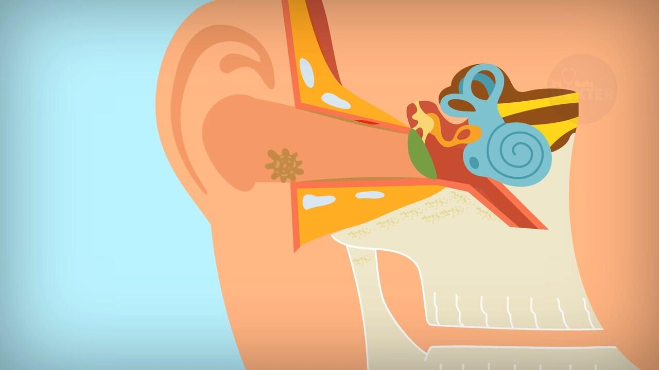 BUKAN COTTON BUD! BEGINI CARA MEMBERSIHKAN TELINGA YANG BENAR!