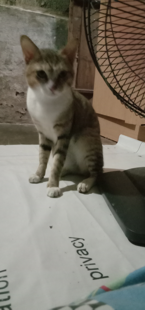 Gak Bakal Bosen Juga Kalo Melakukan Kegiatan Ini