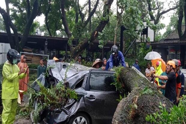 Hujan Deras Landa Sleman, Talud Ambrol hingga Pohon Timpa Mobil
