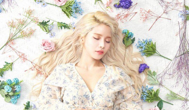 Coba Main Tinder, Solar Mamamoo Girang Banget 