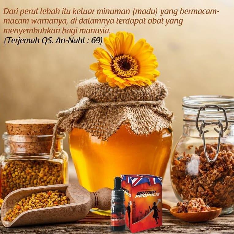 Ikhtiar terbaik untuk mencegah berbagai macam virus adalah imunitas.