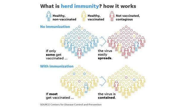Untuk Sembuh Total Dari Virus Covid-19, Setujukah Indonesia Melakukan Herd Immunity 