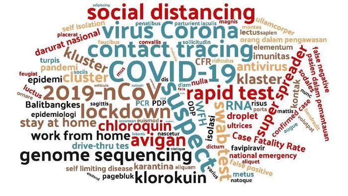 Untuk Sembuh Total Dari Virus Covid-19, Setujukah Indonesia Melakukan Herd Immunity 