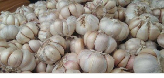 Hobi Makan? Deretan Makanan Ini Bantu Memperkuat Imun untuk Melawan Virus