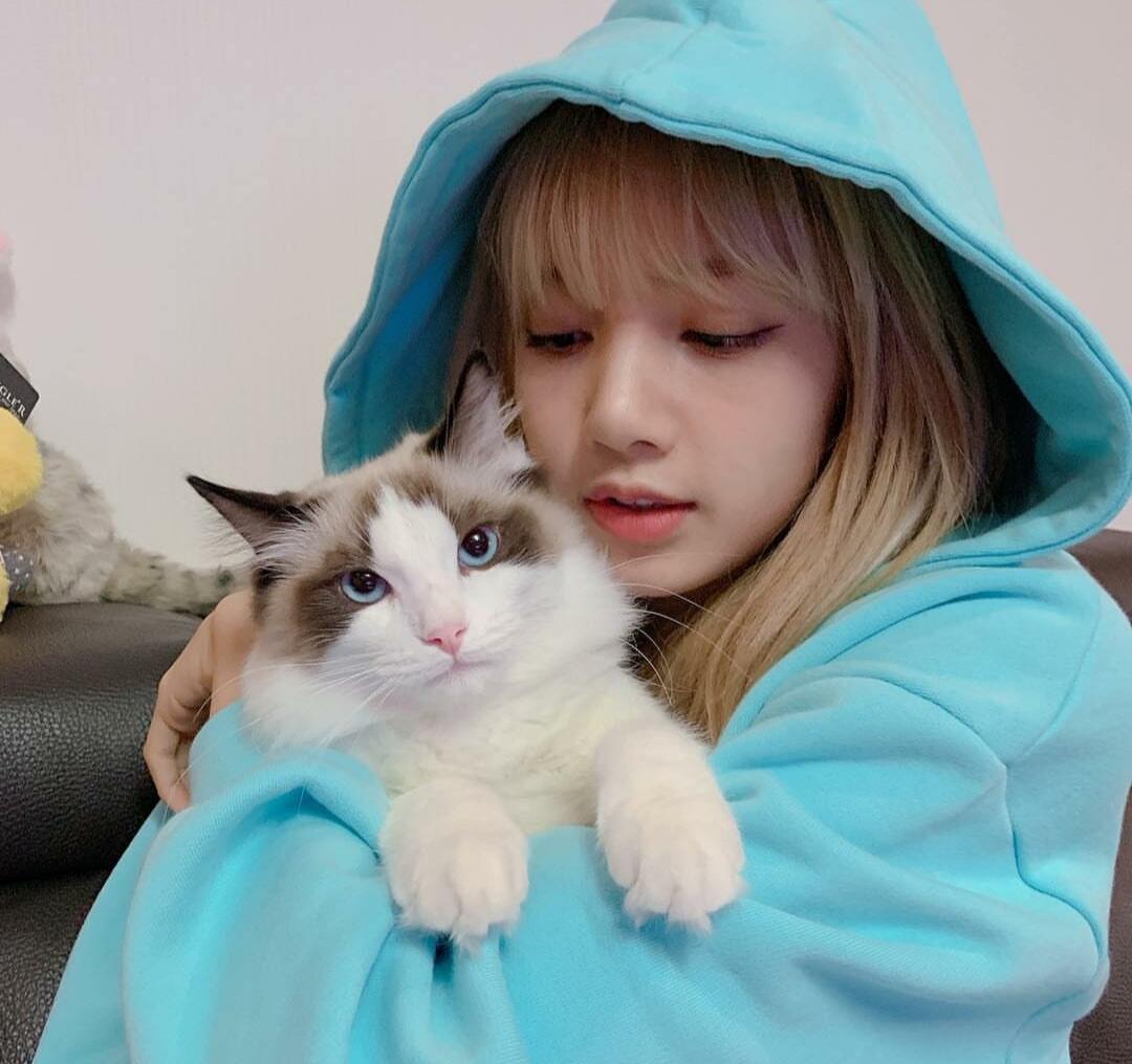 Poni Lisa yang Ikonik Banget, Pake Lem?