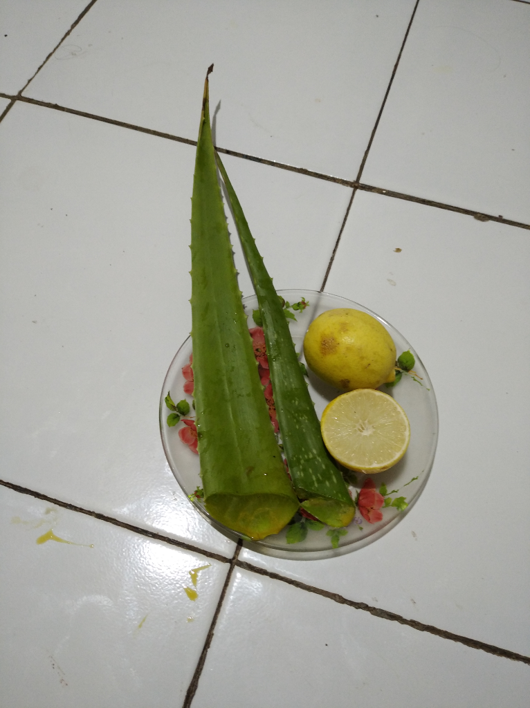 Mumpung Di Rumah, Olah Lidah Buaya Untuk Obat Jerawat Hingga Puding Lezat
