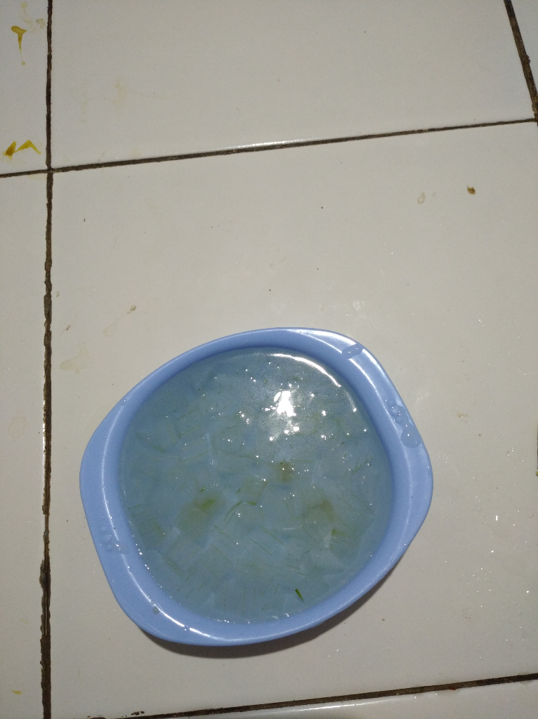 Mumpung Di Rumah, Olah Lidah Buaya Untuk Obat Jerawat Hingga Puding Lezat