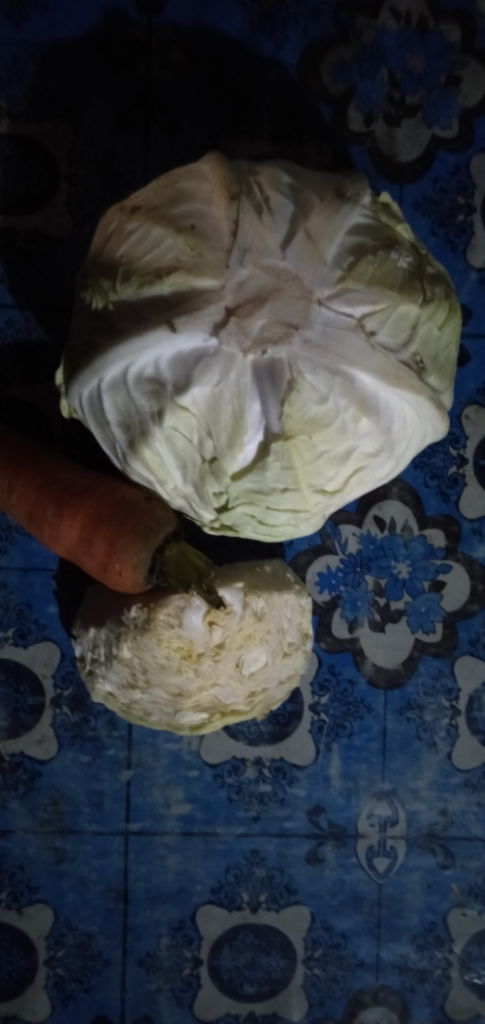 Mengolah Sisa Bahan di Kulkas Menjadi Cemilan yang Mengenyangkan