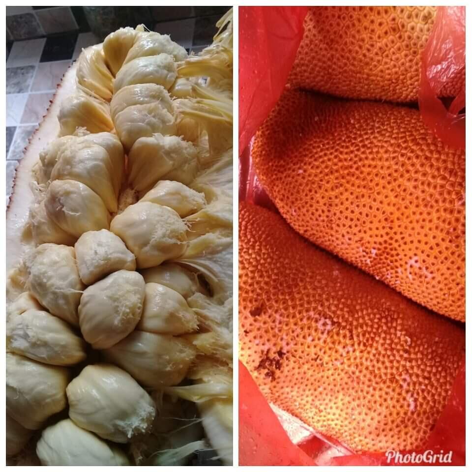 Hanya Ada di Sini, Sanggar Bisa Dikonsumsi