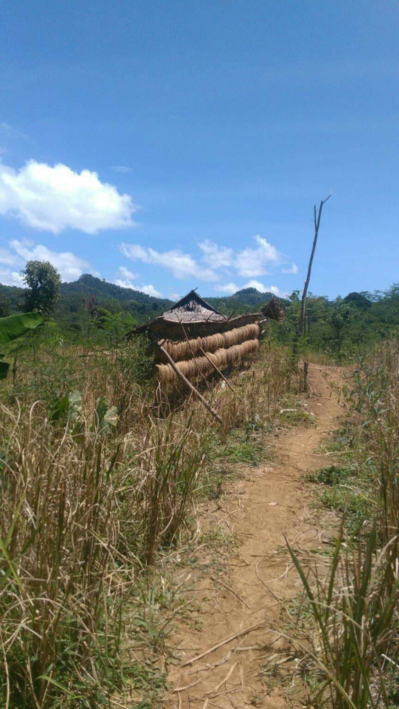 "Baduy Dalam Cikeusik..."