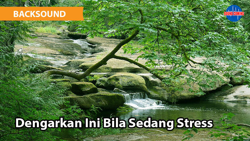 Dengarkan Ini Jika Pikiran Lagi Stress