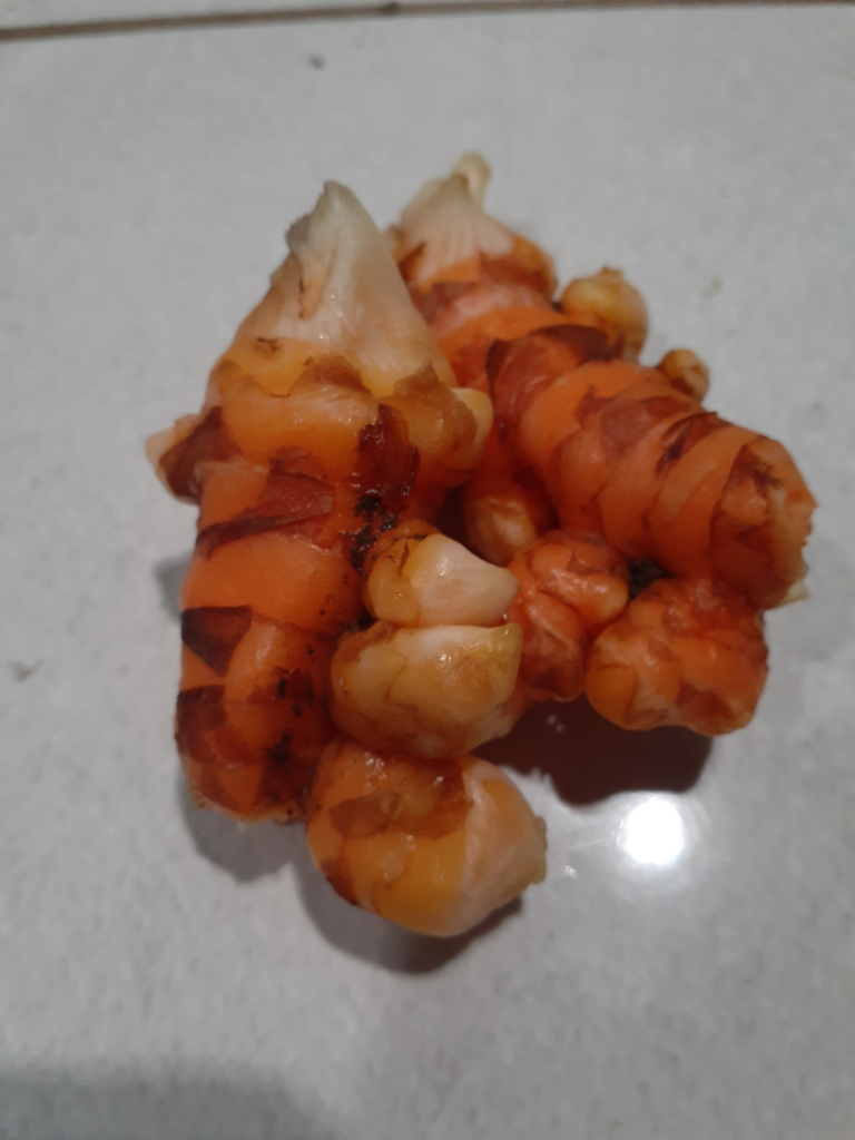 Jamu herbal baik untuk kesehatan