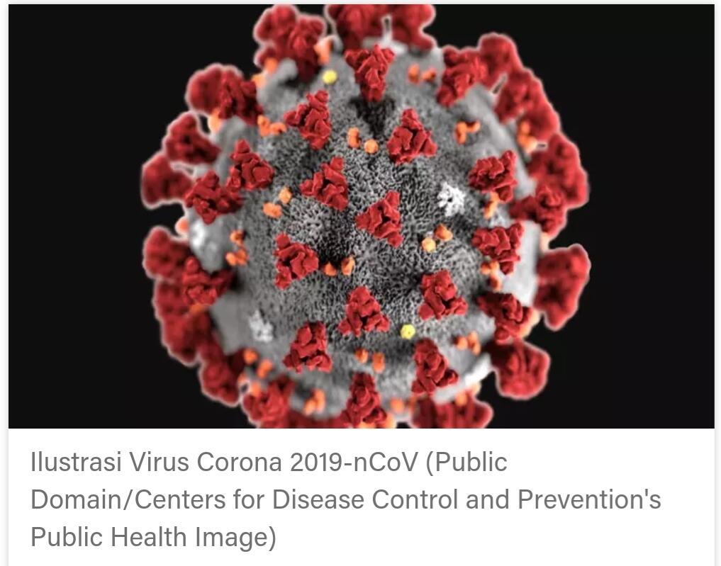 Kenali Ciri-Ciri Pembawa Virus Corona Covid-19 Bersatus Silent Carrier