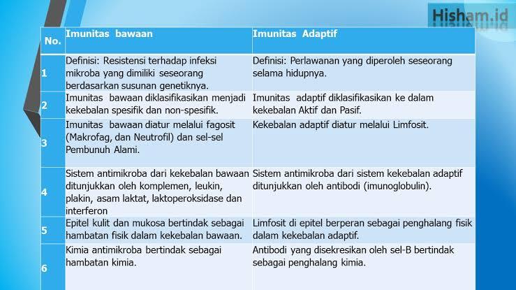 Pandemi, Solidaritas Perkuat Imunitas
