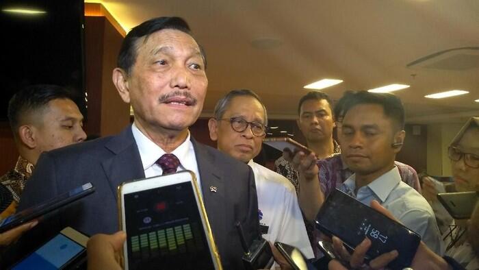 Luhut: Dari Hasil Modelling, Virus Corona Nggak Kuat di Cuaca Indonesia