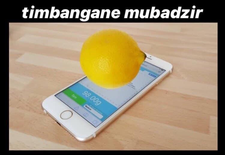 jenis timbangan di dunia, gak masuk rugi seumur jagung.