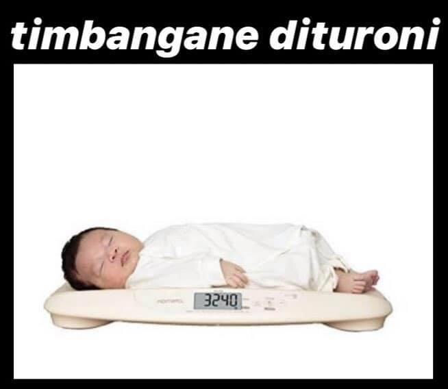 jenis timbangan di dunia, gak masuk rugi seumur jagung.