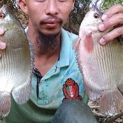 Mancing Ikan Tambakan (Biawan), Sekali Mencoba Dijamin Tergila-gila