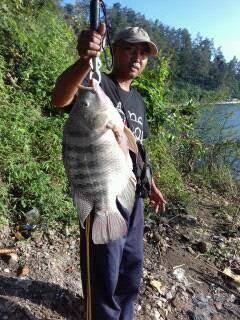 Mancing Ikan Tambakan (Biawan), Sekali Mencoba Dijamin Tergila-gila