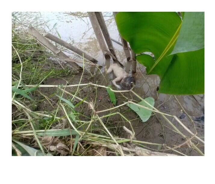 Tragis! Bayi Ini di Temukan di... 😭