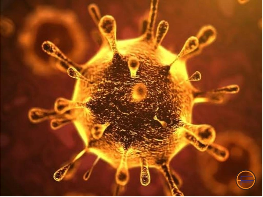 Wajib Tahu! Virus Corona Miliki 5 Kelemahan Apa Saja?