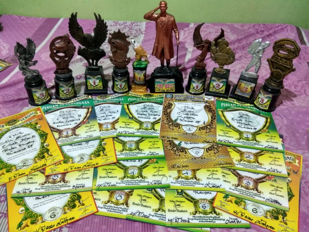Petrik Cucak Ijo Sang Jawara