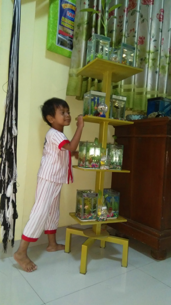 Memelihara Hewan Ini, Dapat Mengurangi Stres Kami Ditengah Pandemi Corona!