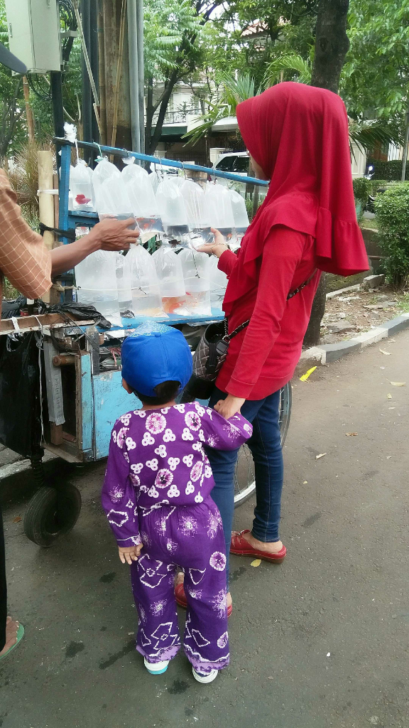 Memelihara Hewan Ini, Dapat Mengurangi Stres Kami Ditengah Pandemi Corona!