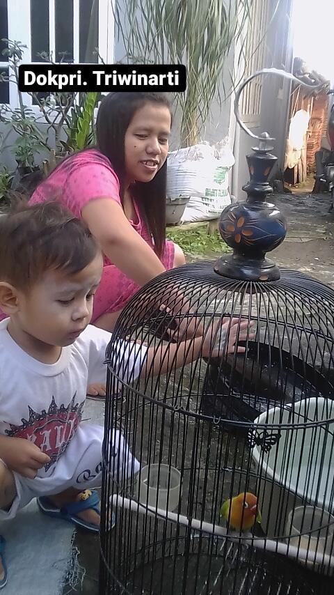 Simple dan Menyenangkan Merawat Lovebird Kesayangan Dengan Anak, Nomor 2 Seru Banget!
