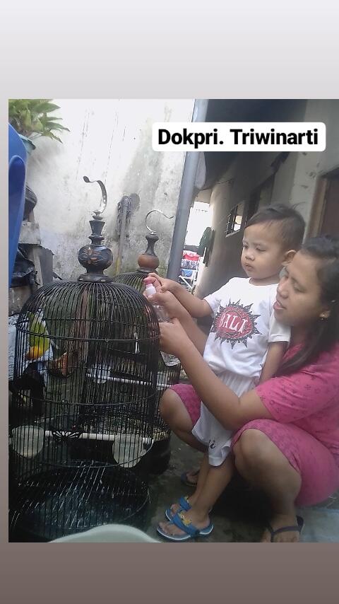 Simple dan Menyenangkan Merawat Lovebird Kesayangan Dengan Anak, Nomor 2 Seru Banget!