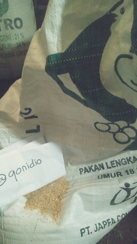 Ayam Petelor di Kandang Murahan Nih, Kepoin Yuk! 