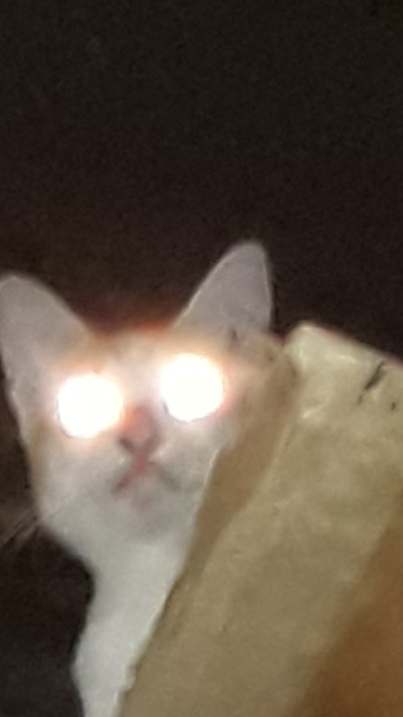 Antara Corona, Stay At Home dan Omengkubusug