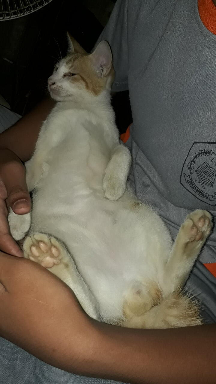 Antara Corona, Stay At Home dan Omengkubusug