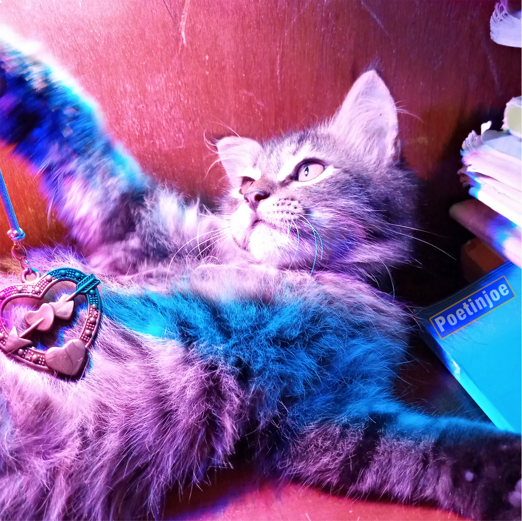 9 Pose Si Boy Teman Setia Keluargaku yang Narsis Abis #AslinyaLo