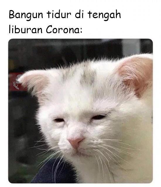 Jangan Lupa Ngakak Ditengah Covid19