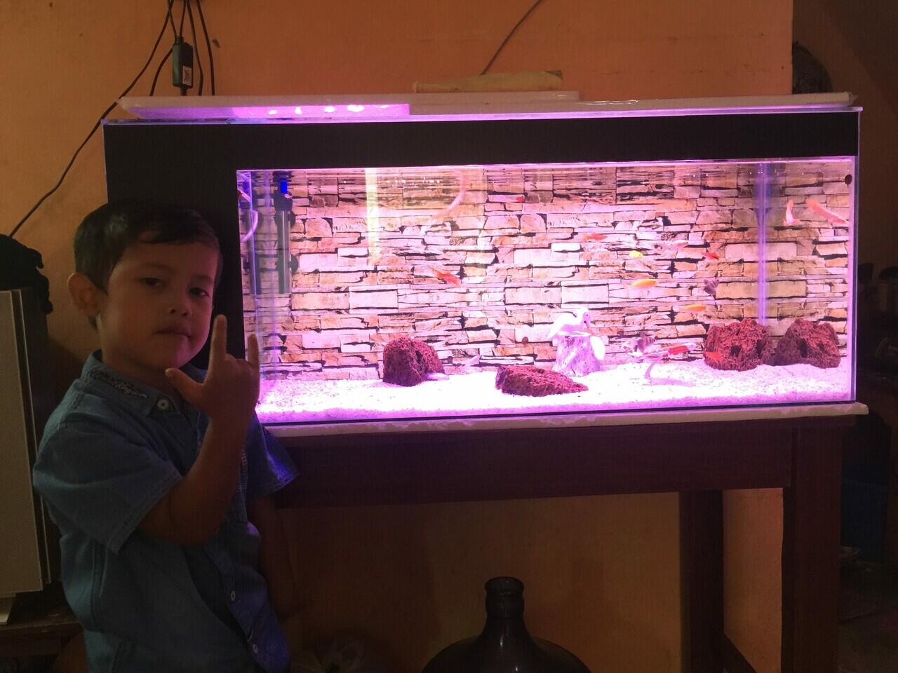 Kecil Bersisik Yang Menjerat Pesona