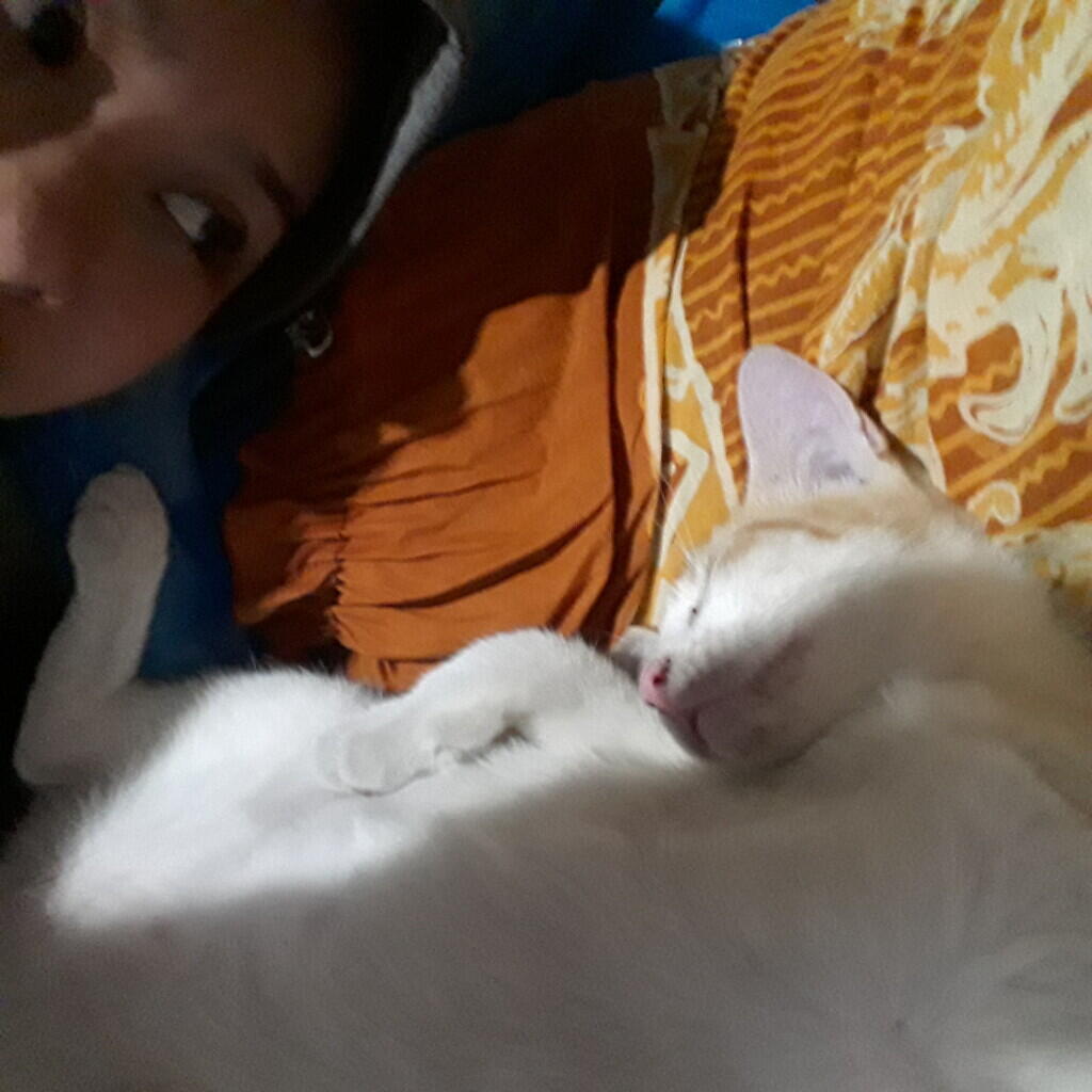 Antara Corona, Stay At Home dan Omengkubusug