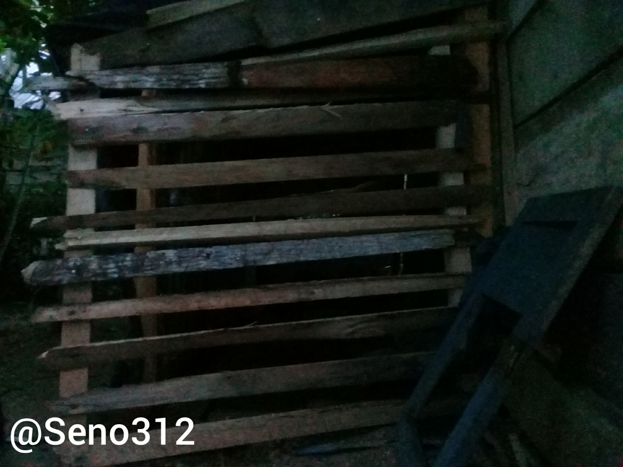 Cara Pelihara Ayam Itu Gampang, Tapi Hasil dan Keuntungannya Bukan Main! Nih Buktinya