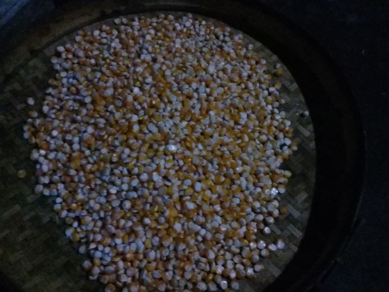 Cara Pelihara Ayam Itu Gampang, Tapi Hasil dan Keuntungannya Bukan Main! Nih Buktinya