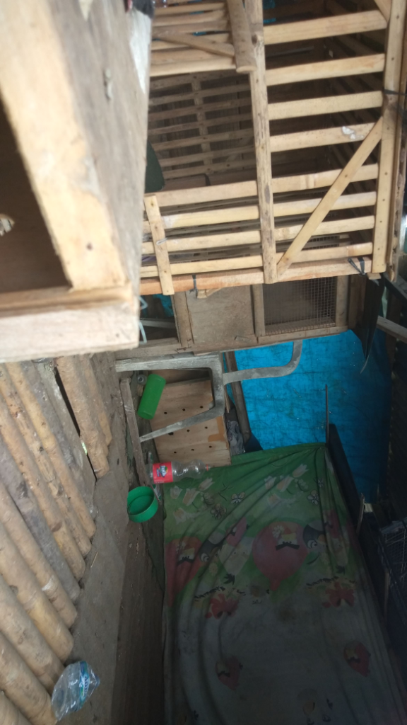 Peliharaanku Yang Tidak Suka Di Lockdown