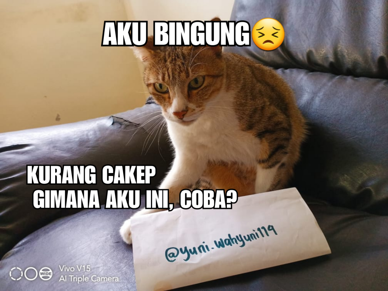 Miao Si Kucing; Hewan Peliharaan Pembawa Bahagia di Tengah Pandemi Corona