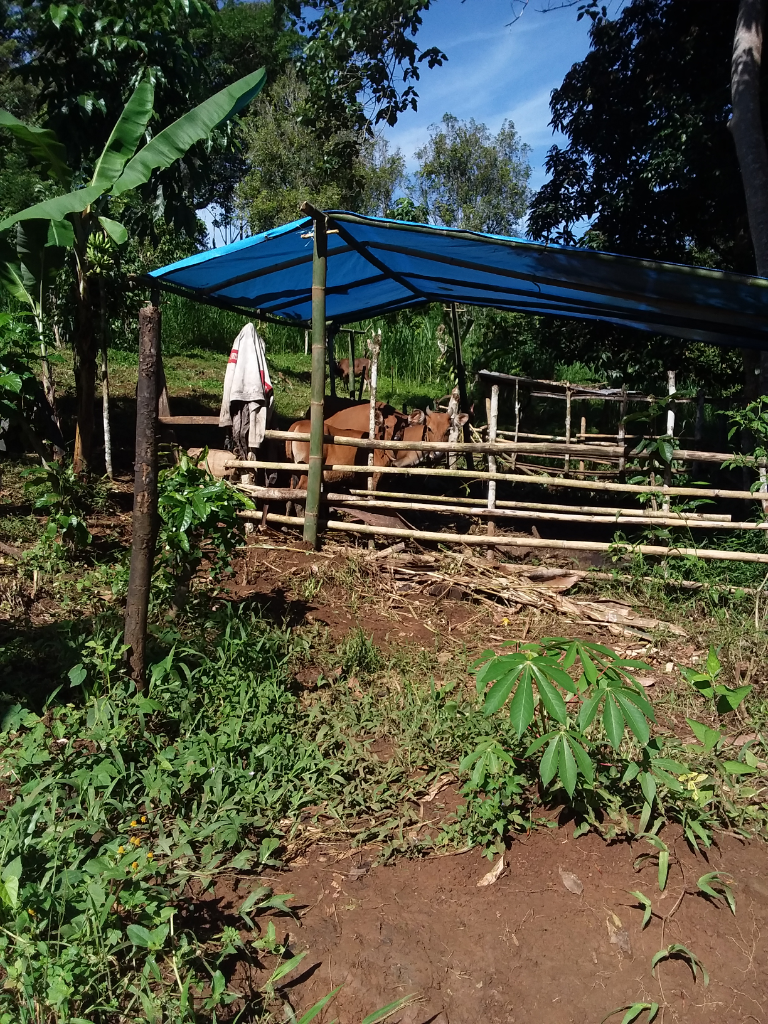 Pemeliharaan Tidak Ribet dan Keuntungan Menggiurkan