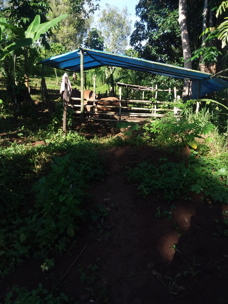 Pemeliharaan Tidak Ribet dan Keuntungan Menggiurkan